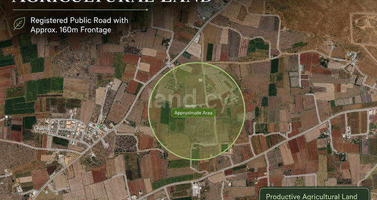 Agricultural field for sale in Liopetri