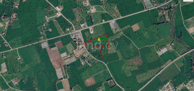 Landwirtschaftliches Baugebiet in Larnaca zu verkaufen