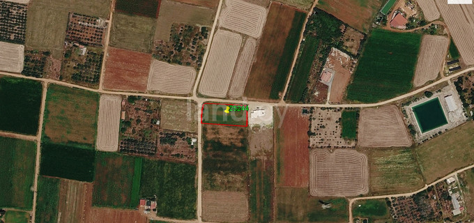 Landwirtschaftliches Baugebiet in Larnaca zu verkaufen