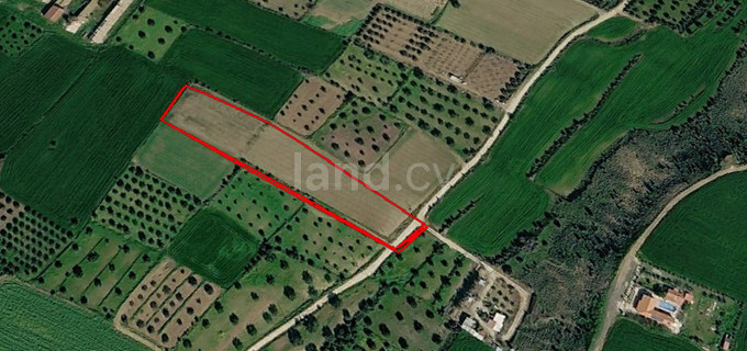 Landwirtschaftliches Baugebiet in Nicosia zu verkaufen
