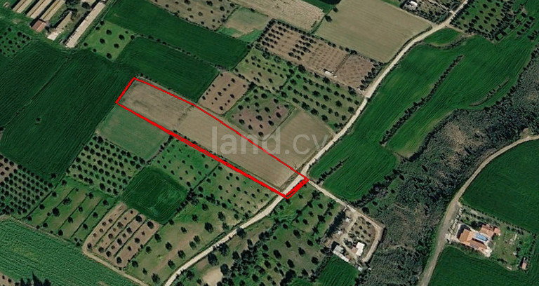 Agricultural field for sale in Nicosia