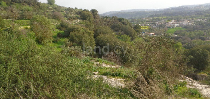 Agricultural field for sale in Paphos