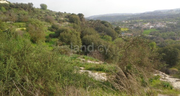 Campo agrícola a la venta en Paphos