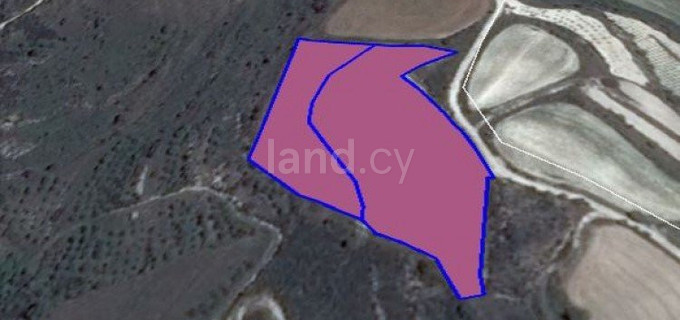 Landwirtschaftliches Baugebiet in Paphos zu verkaufen