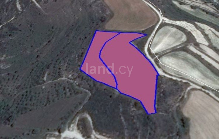 Landwirtschaftliches Baugebiet in Paphos zu verkaufen