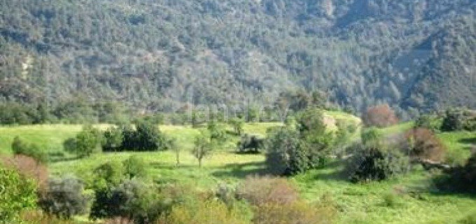 Residential field for sale in Paphos