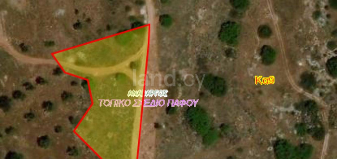 Residential field for sale in Paphos