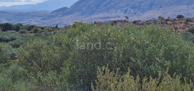Landwirtschaftliches Baugebiet in Limassol zu verkaufen