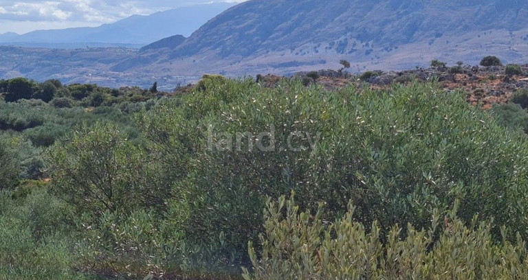 Landwirtschaftliches Baugebiet in Limassol zu verkaufen