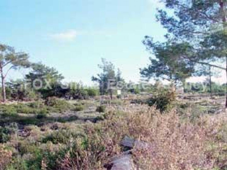 Agricultural field for sale in Limassol