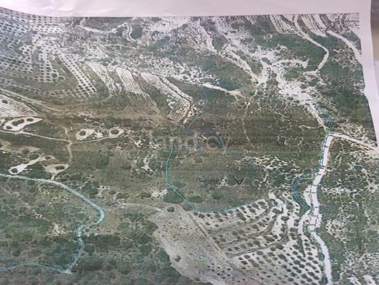 Campo agrícola a la venta en Limassol