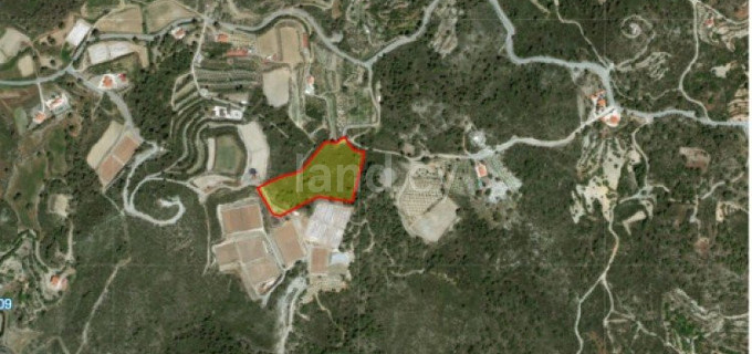 Agricultural field for sale in Limassol