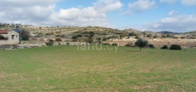 Campo agrícola a la venta en Limassol