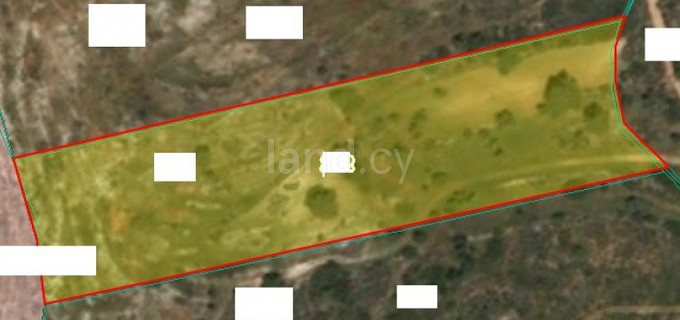 Agricultural field for sale in Limassol