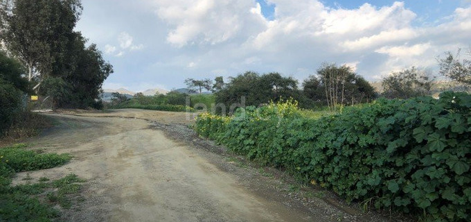 Agricultural field for sale in Limassol
