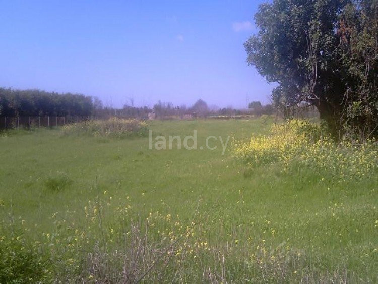 Campo agrícola a la venta en Limassol
