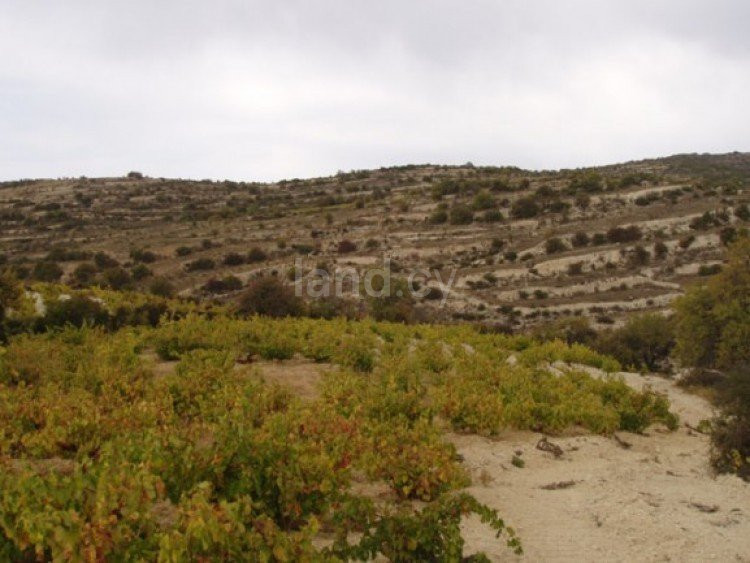 Αγροτικό αγροτεμάχιο προς πώληση - Λεμεσός
