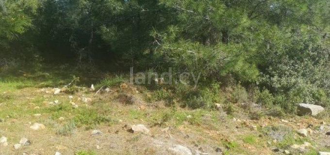 Residential plot for sale in Limassol