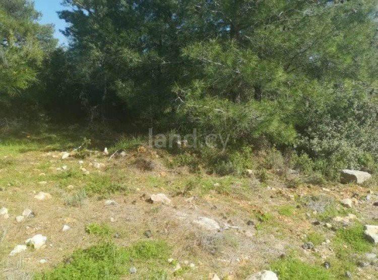 Residential plot for sale in Limassol