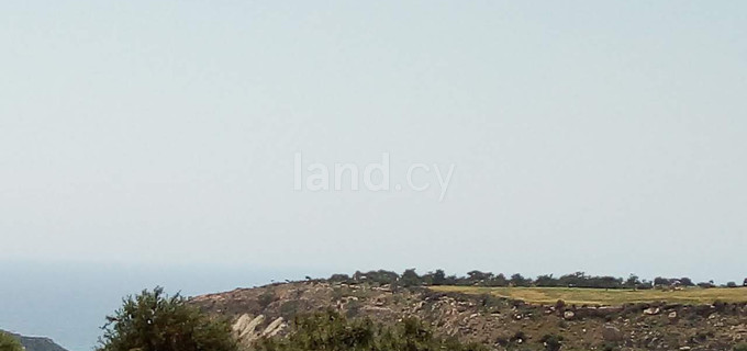 Terrain agricole à vendre à Limassol