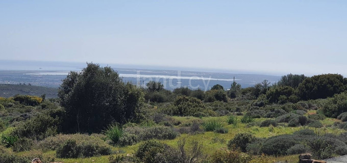 Plot for sale in Limassol