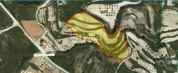 Campo agrícola a la venta en Paphos