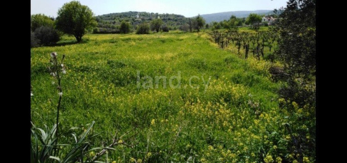 Residential field for sale in Paphos