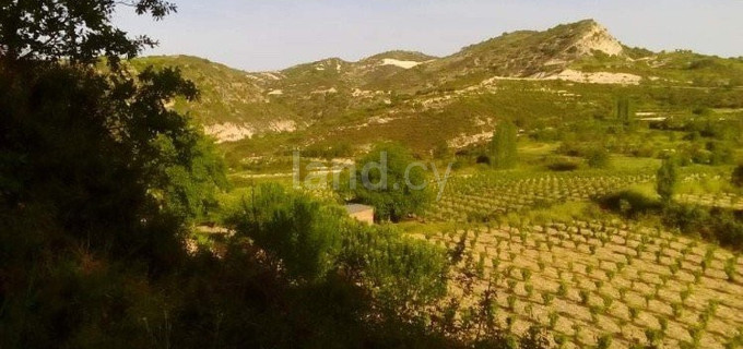 Campo agrícola a la venta en Limassol