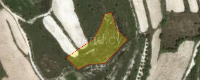 Landwirtschaftliches Baugebiet in Paphos zu verkaufen