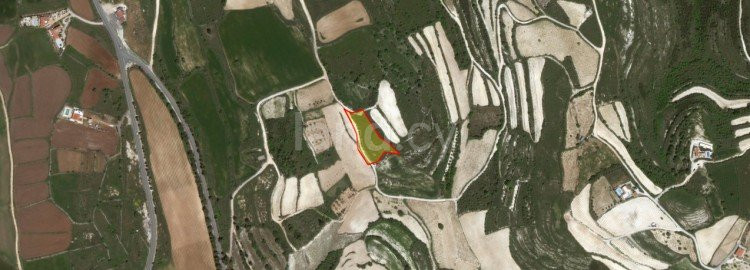 Agricultural field for sale in Paphos
