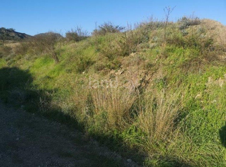 Agricultural field for sale in Limassol