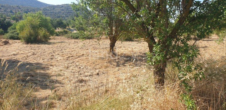 Parcela a la venta en Limassol