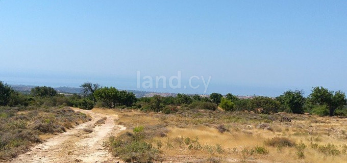Campo agrícola a la venta en Limassol