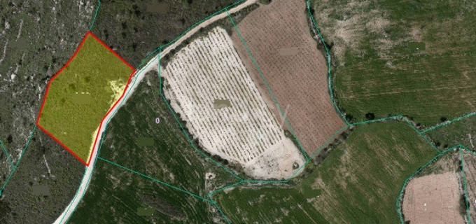 Landwirtschaftliches Baugebiet in Paphos zu verkaufen