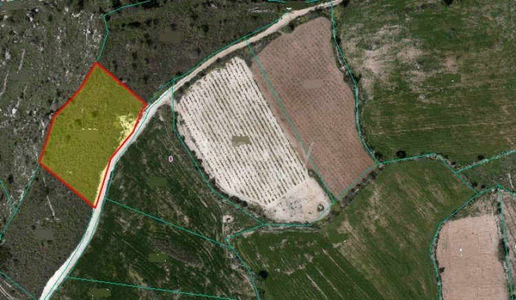 Agricultural field for sale in Paphos