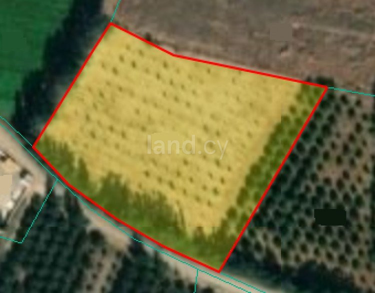 Residential plot for sale in Paphos