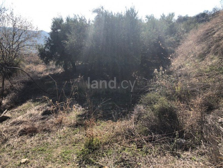 Terrain agricole à vendre à Limassol