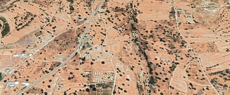 Agricultural field for sale in Limassol