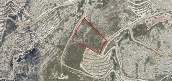 Agricultural field for sale in Limassol