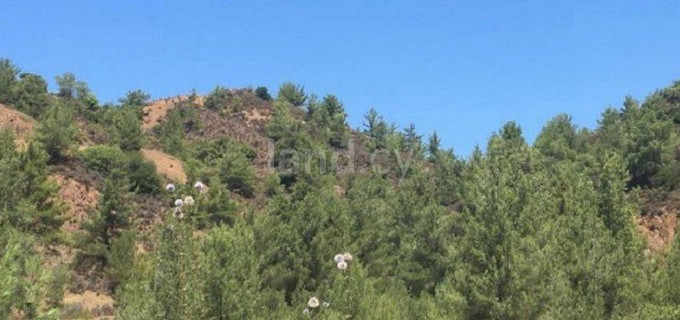 Baugebiet in Limassol zu verkaufen