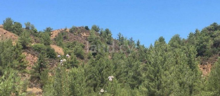 Baugebiet in Limassol zu verkaufen