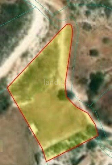 Campo a la venta en Limassol