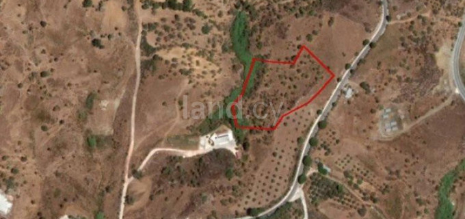 Parcelle résidentielle à vendre à Paphos