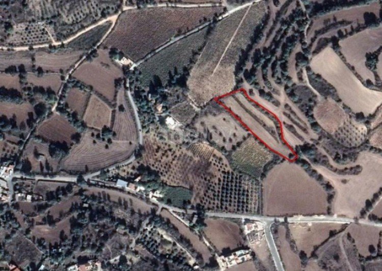 Wohnbaugrundstück in Paphos zu verkaufen