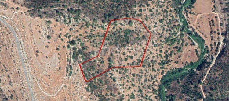 Terrain agricole à vendre à Limassol