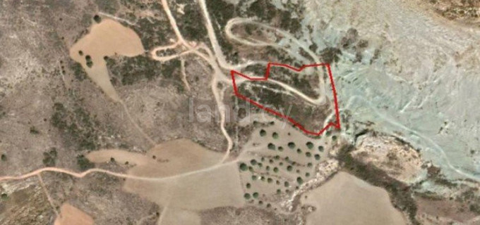Landwirtschaftliches Baugebiet in Paphos zu verkaufen