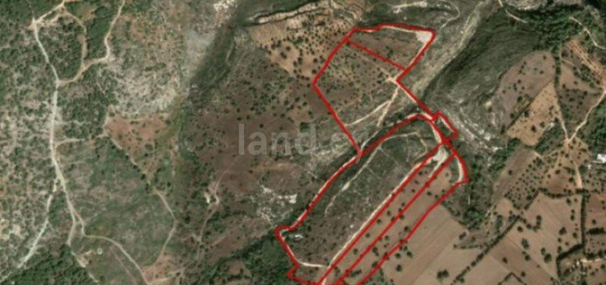 Landwirtschaftliches Baugebiet in Paphos zu verkaufen