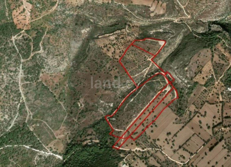 Agricultural field for sale in Paphos