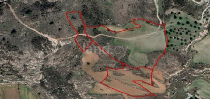 Landwirtschaftliches Baugebiet in Paphos zu verkaufen