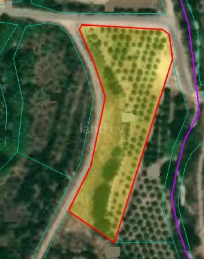 Agricultural field for sale in Paphos